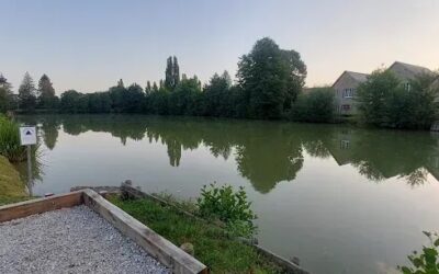 Lâcher de truite, étang de la chapelle Montligeon, mai 2026